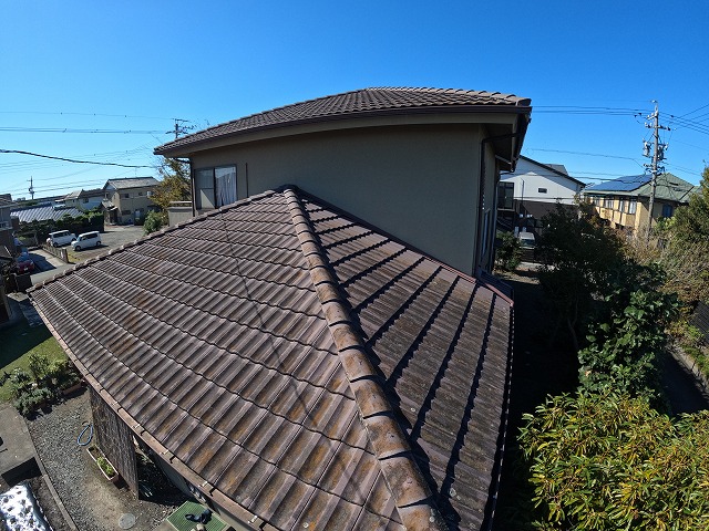 住林の屋根の藻の発生状況