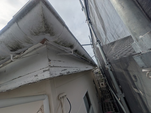 木製鼻隠しの塗膜剥離